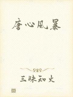 唐心风暴