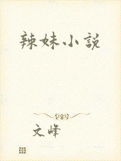 辣妹小说封面