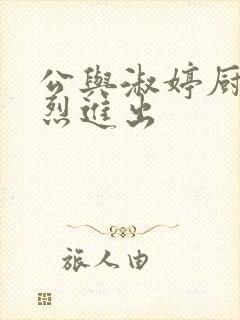 公与淑婷厨房猛烈进出