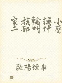 家族轮换小说第二部叫什么名字