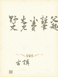 野火小说父女全文免费笔趣阁