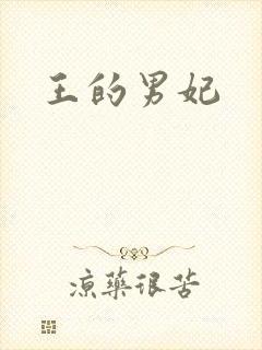 王的男妃封面