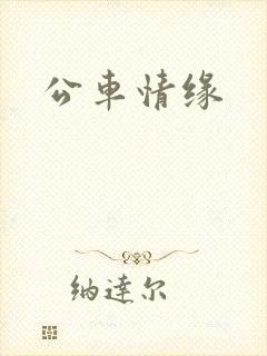 公车情缘