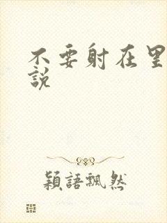 不要射在里面小说