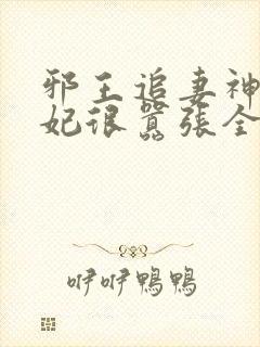 邪王追妻神医狂妃很嚣张全文免费