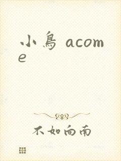 小鸟 acome