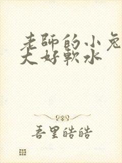 老师的小兔子好大好软水