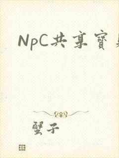 NpC共享宝贝