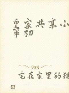 皇家共享小公主宁初