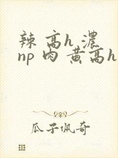 辣 高h 浓 np 肉 黄高h