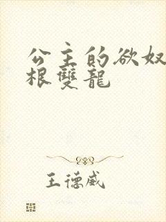 公主的欲奴h四根双龙