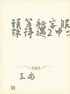 头等舱客服的特殊待遇2中字