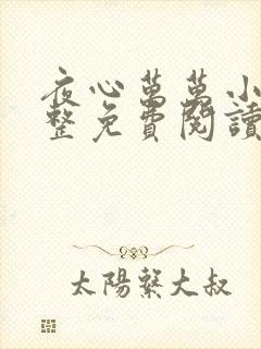 夜心万万小说完整免费阅读全文