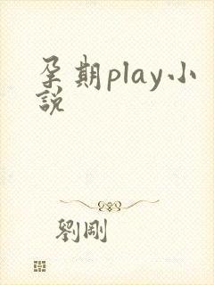 孕期play小说