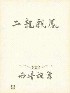 二龙戏凤