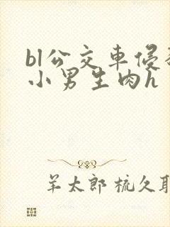 bl公交车侵犯小男生肉h