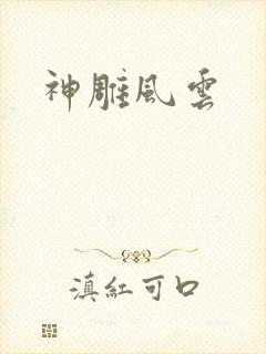 神雕风云
