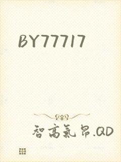 BY77717封面