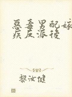 恶毒男配嫁给残疾反派后