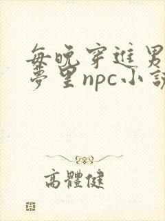 每晚穿进男神的梦里npc小说