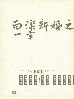 白洁新婚之夜第一章