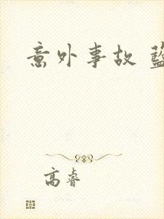 意外事故 蓝淋封面