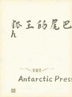 狐王的尾巴高ah