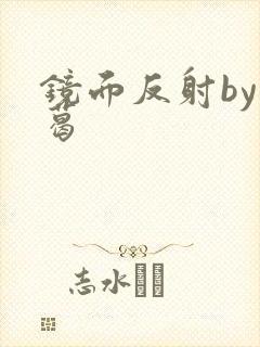 镜面反射by九葛