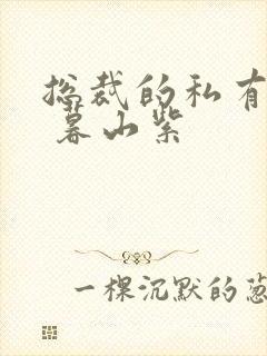 总裁的私有宝贝 暮山紫