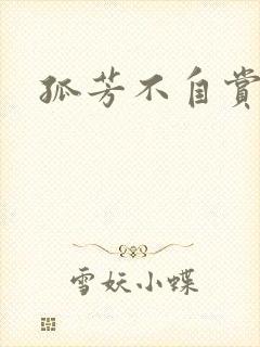 孤芳不自赏小说