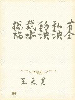 总裁的私有宝贝祸水泱泱全文阅读