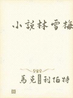小说林雪梅
