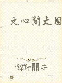 文心阁大团结封面