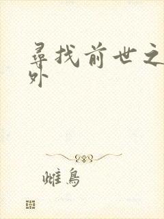 寻找前世之旅番外