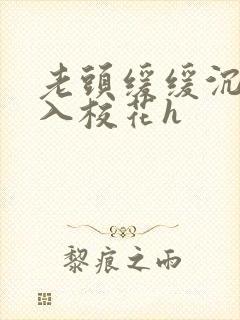 老头缓缓沉腰进入校花h