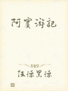 阿宾游记