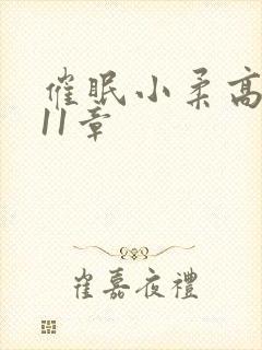 催眠小柔高达第11章