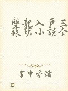 双龙入户三人行苏玥小说全文阅读