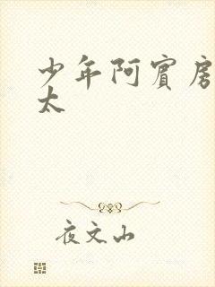 少年阿宾房东太太