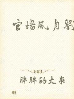 官场风月刘明强