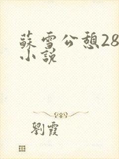 苏雪公憩28篇小说
