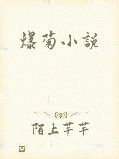 爆菊小说