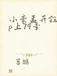 小豪孟卉钰慧三p上79章