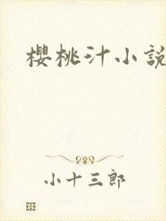 樱桃汁小说