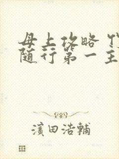 母上攻略 竹影随行第一主板