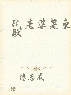 我老婆是东方不败