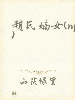 赵氏嫡女(np)