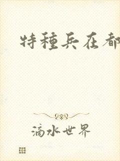 特种兵在都市