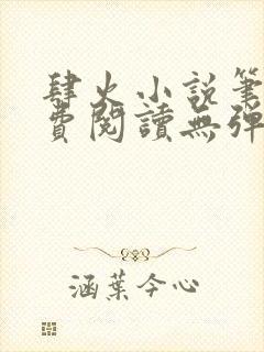 肆火小说笔趣免费阅读无弹窗