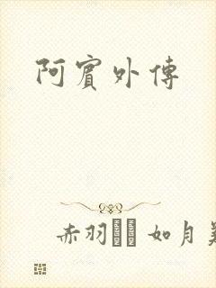 阿宾外传